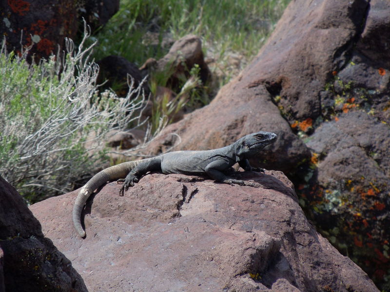 Fossil Falls off 395
