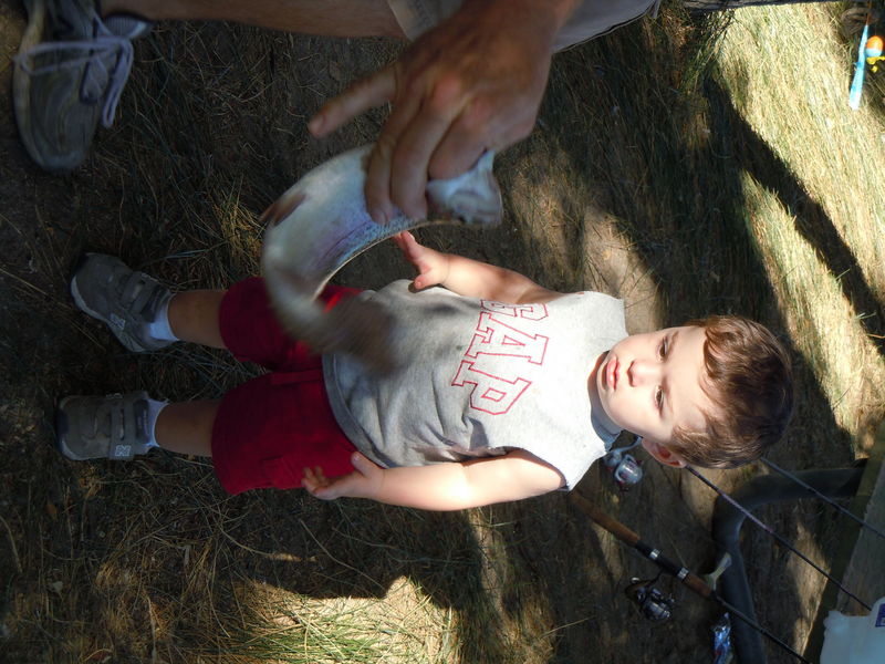 DSCN0342.JPG