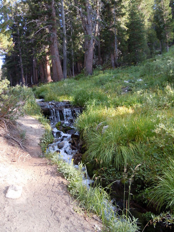 DSCN0345.JPG