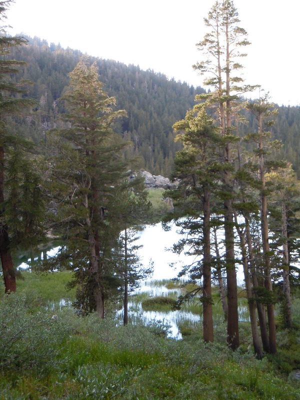 DSCN0359.JPG