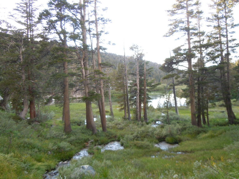 DSCN0360.JPG