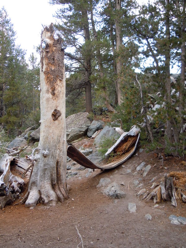 DSCN0366.JPG