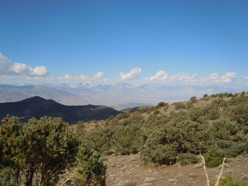 DSCN0381.JPG