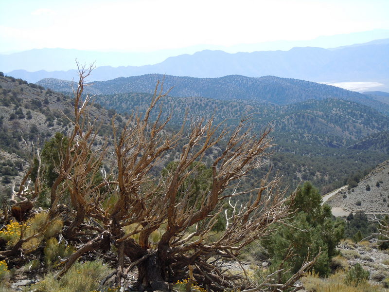 DSCN0386.JPG