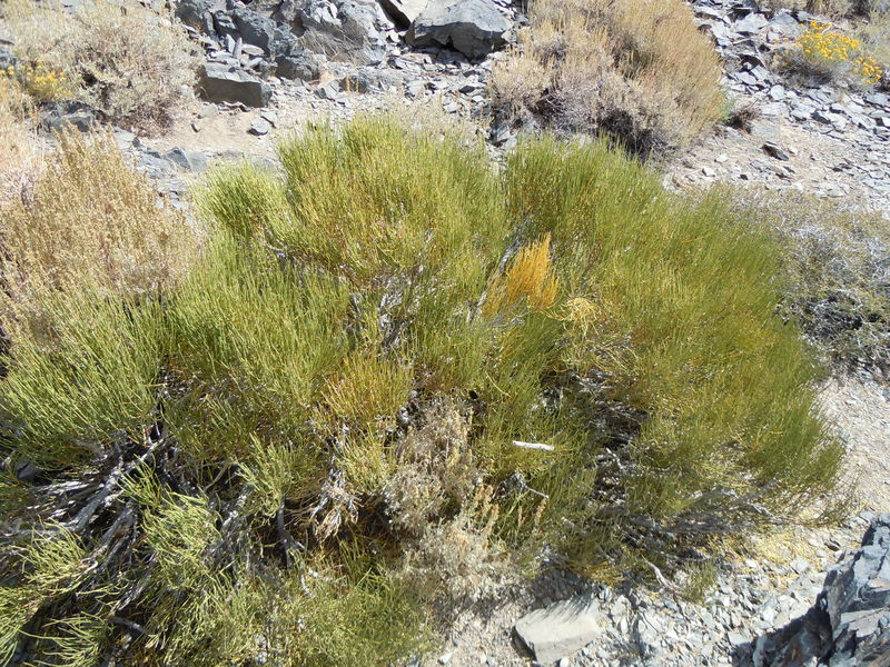 DSCN0387.JPG
