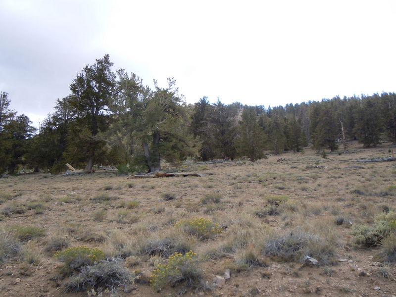 DSCN0391.JPG
