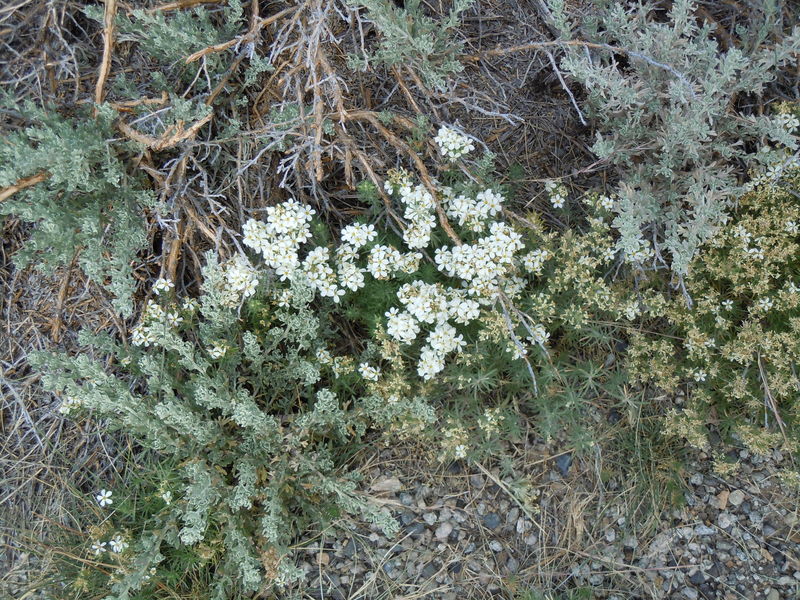 DSCN0392.JPG