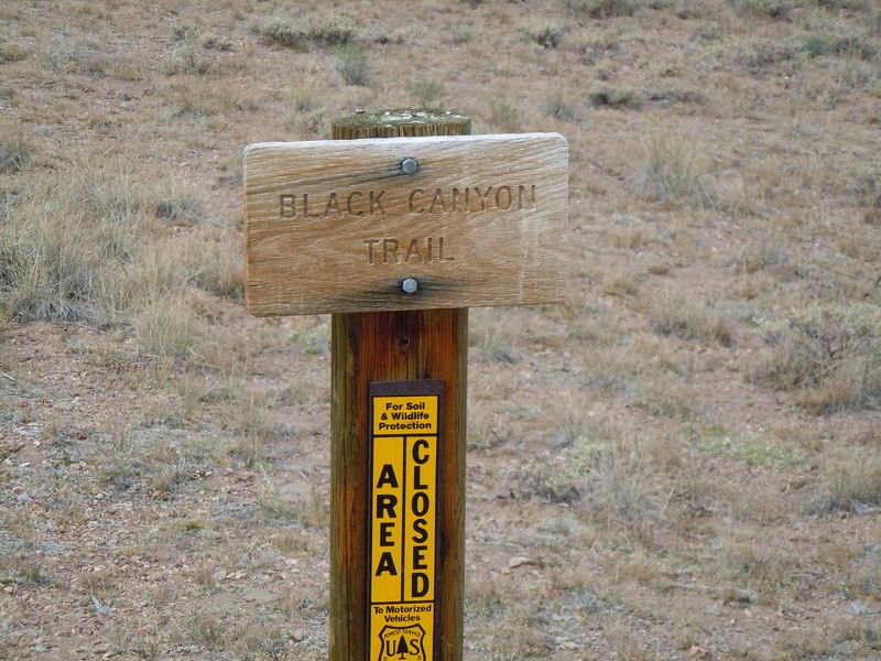 DSCN0393.JPG