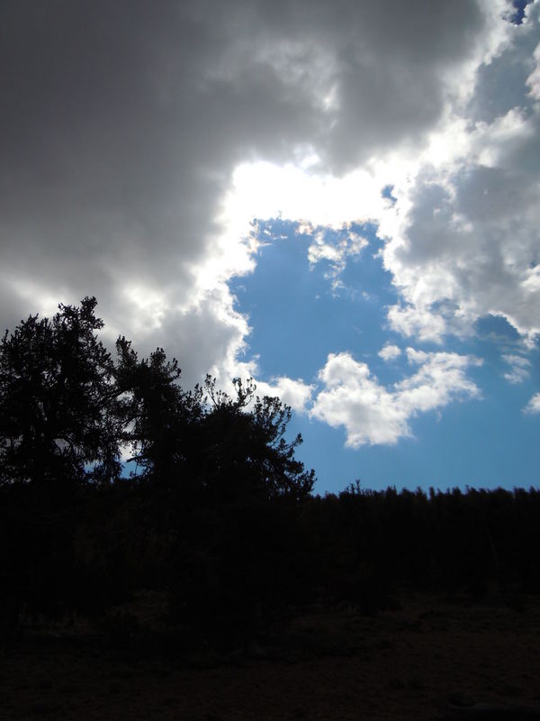 DSCN0396.JPG