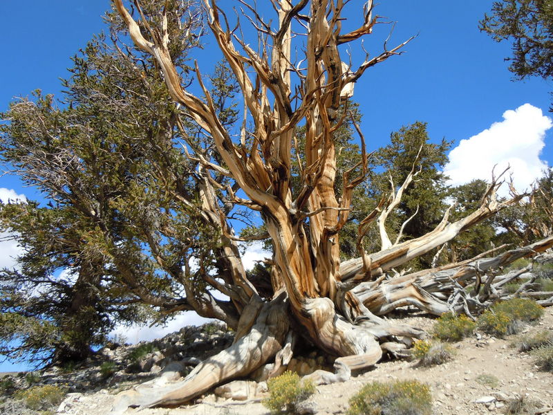 DSCN0400.JPG