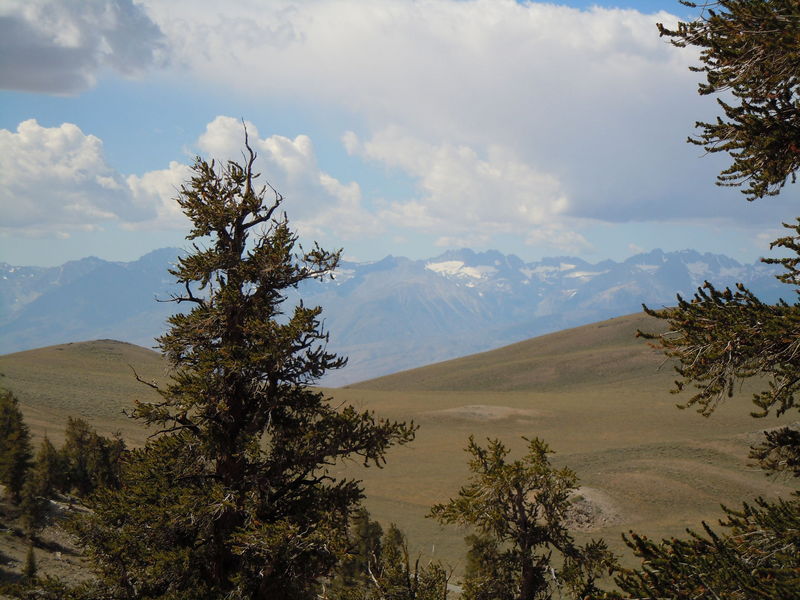 DSCN0402.JPG