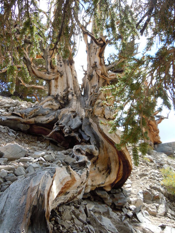 DSCN0408.JPG