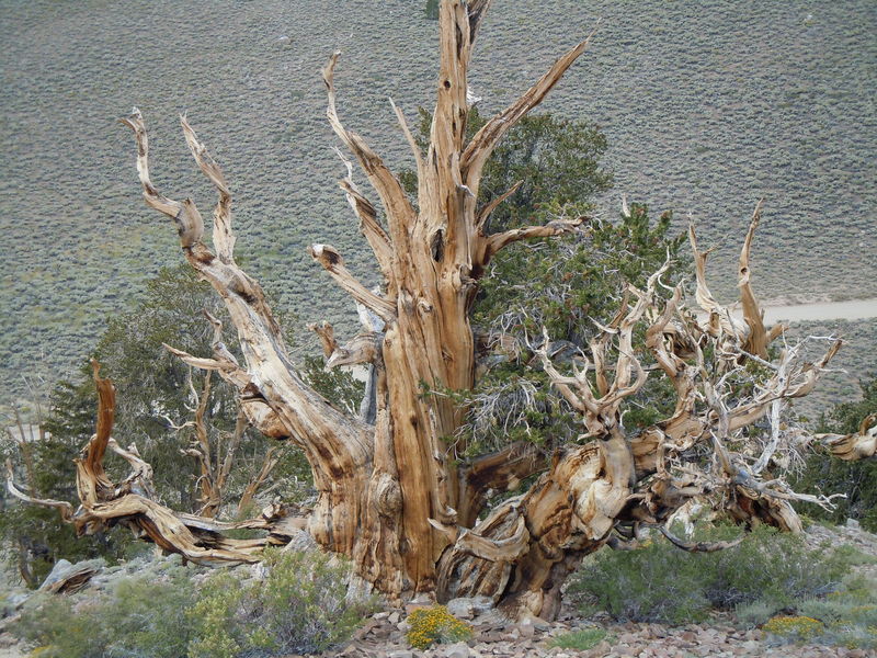 DSCN0413.JPG