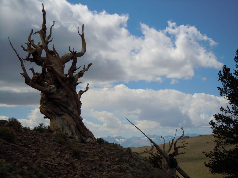 DSCN0416.JPG
