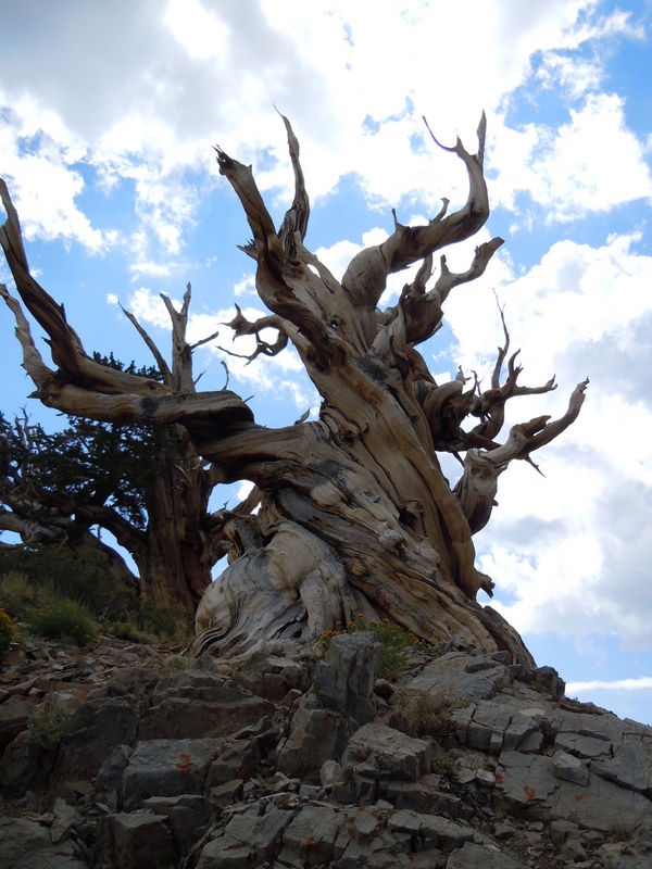 DSCN0417.JPG