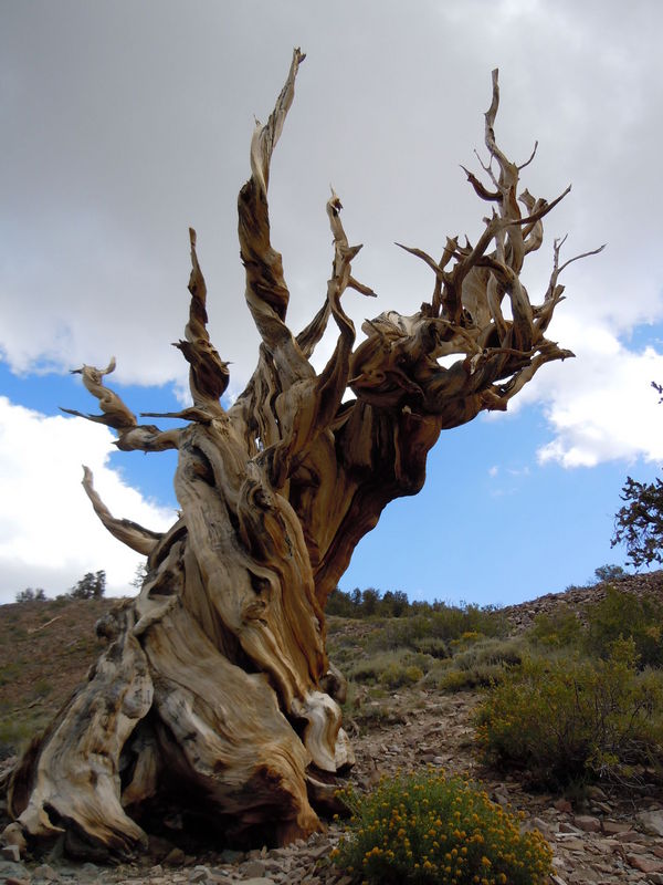 DSCN0418.JPG