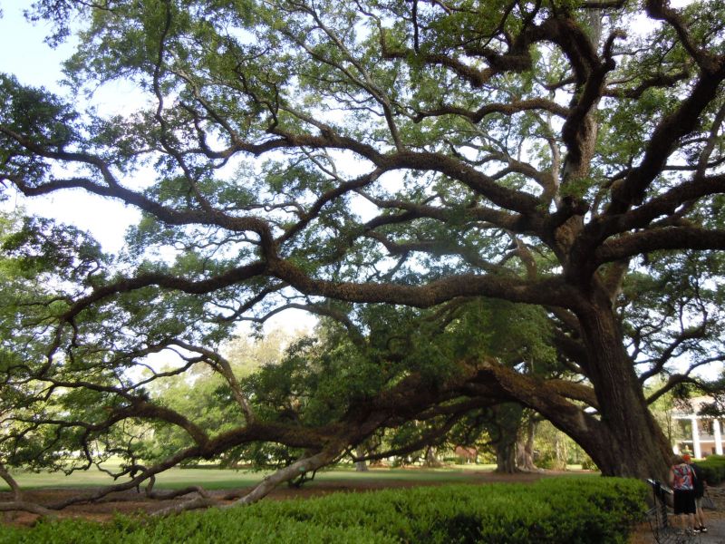DSCN0790.JPG