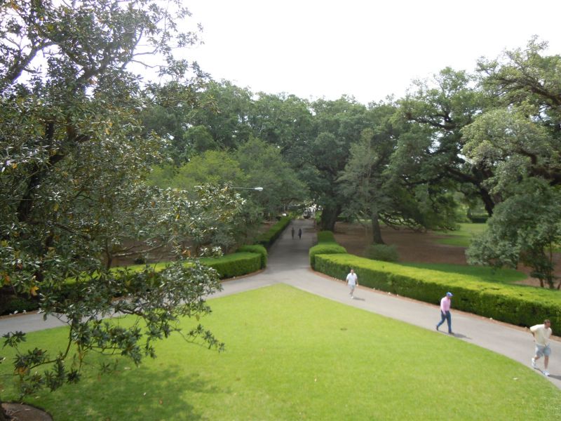 DSCN0806.JPG