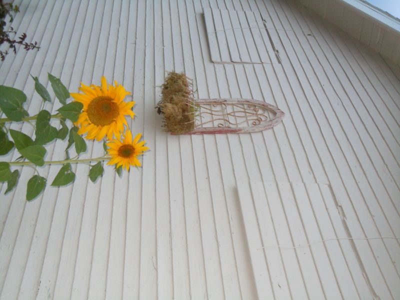 DSCN0813.JPG