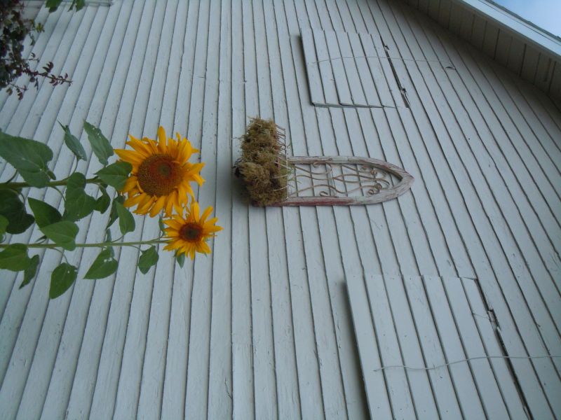 DSCN0814.JPG