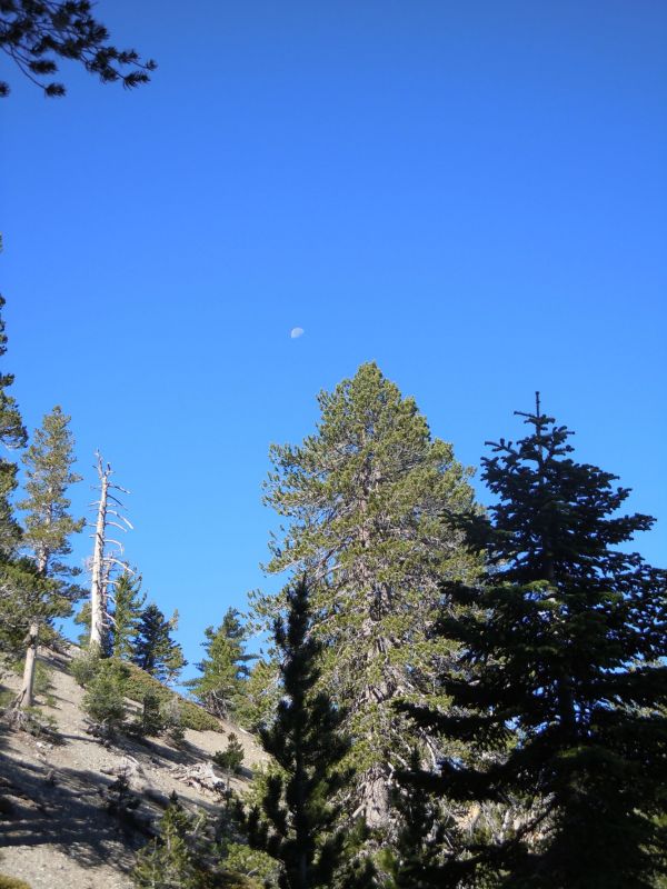 DSCN0929.JPG