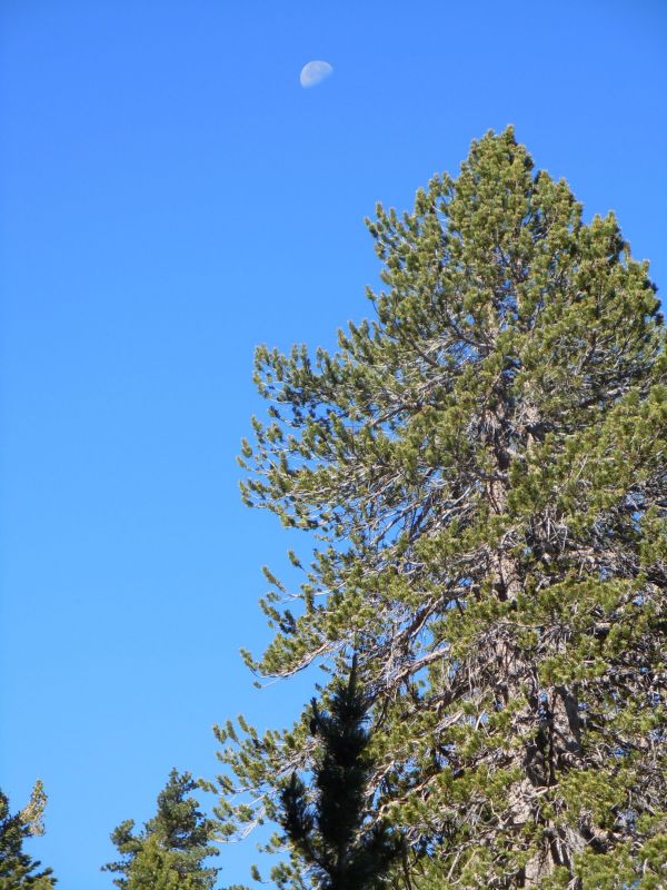 DSCN0930.JPG