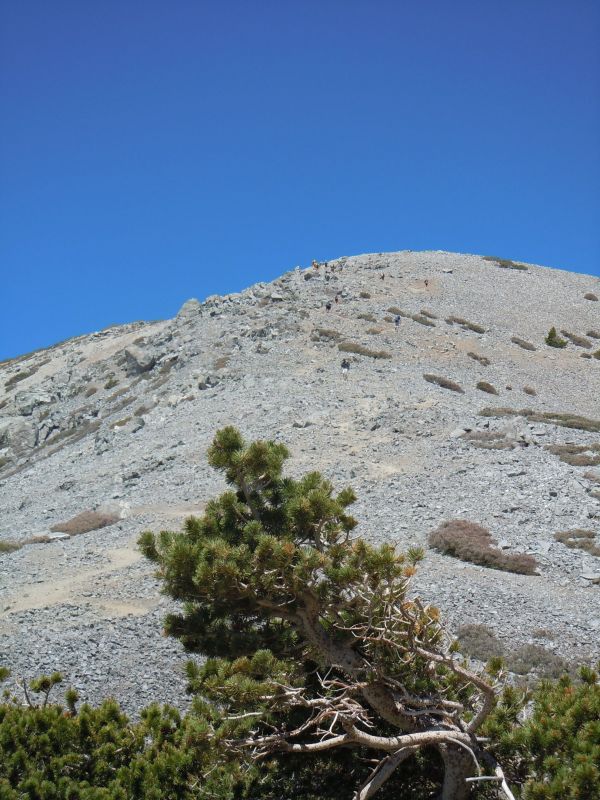 DSCN0964.JPG