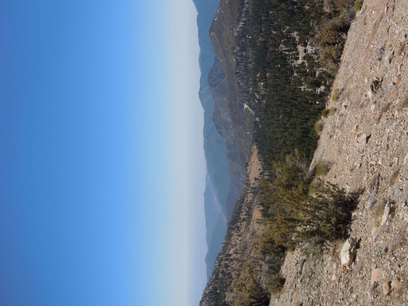 DSCN0970.JPG