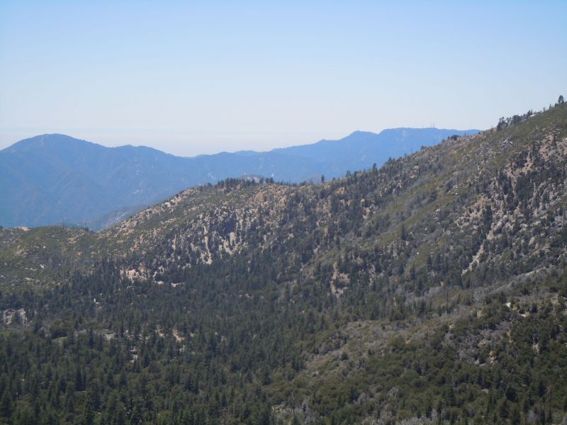 DSCN0971.JPG