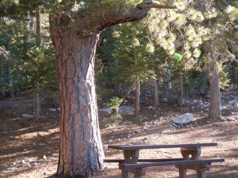 DSCN1089.JPG