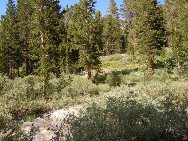 DSCN1129.JPG