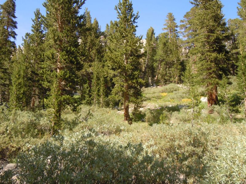 DSCN1130.JPG
