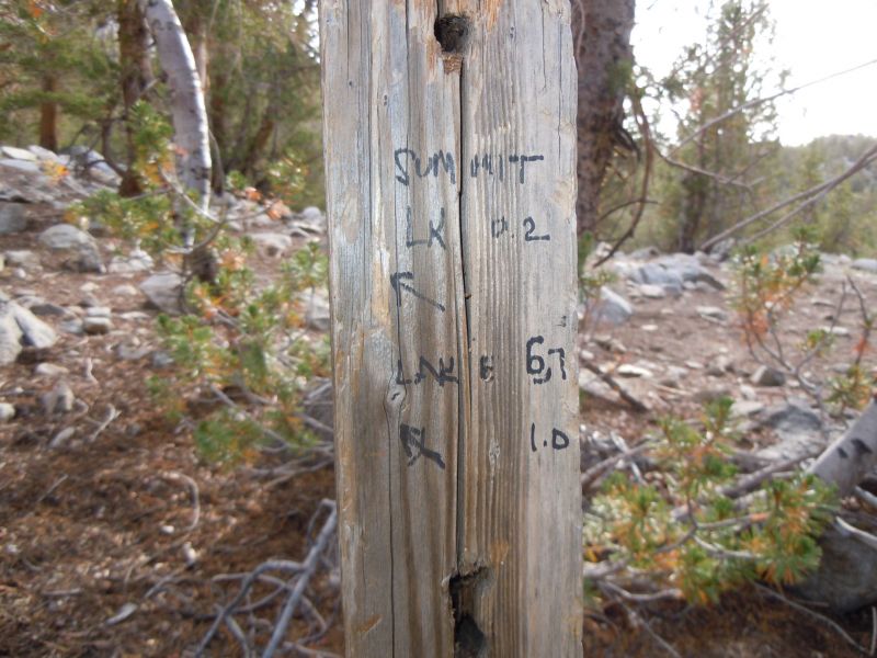 DSCN1140.JPG