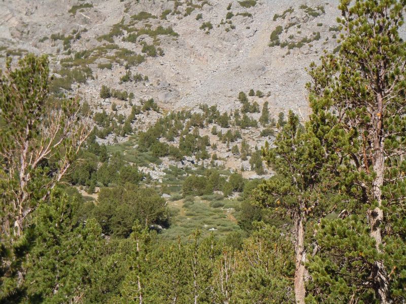 DSCN1147.JPG
