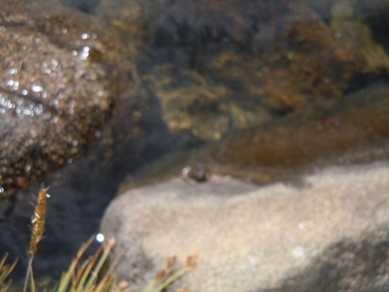 DSCN1157.JPG