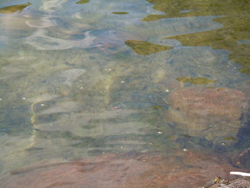 DSCN1161.JPG