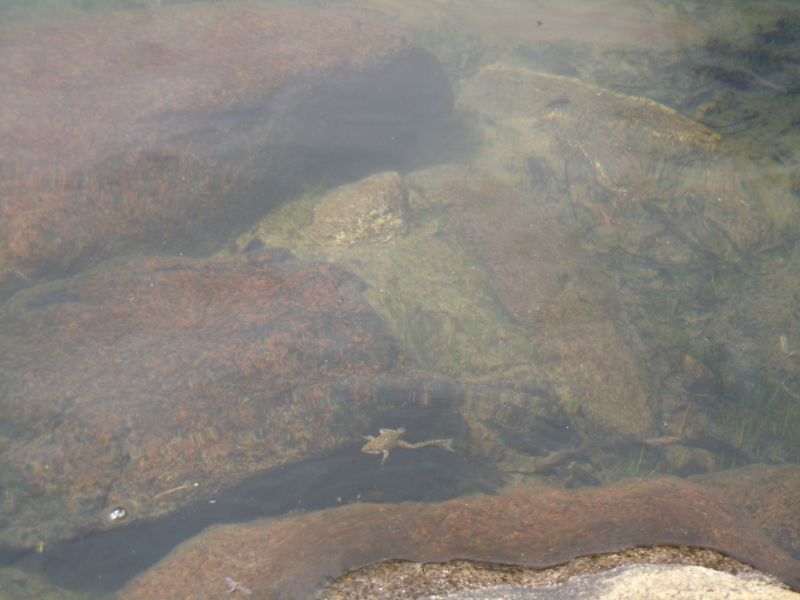 DSCN1162.JPG