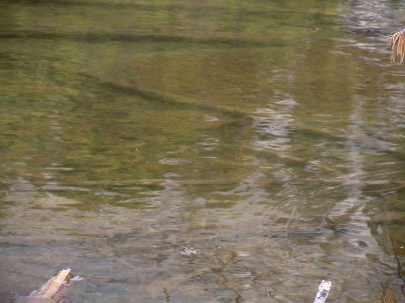 DSCN1170.JPG