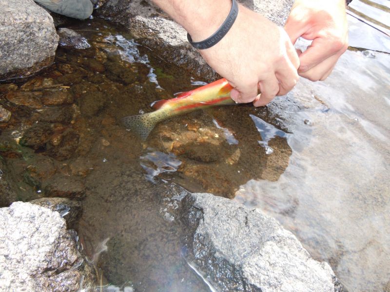DSCN1182.JPG