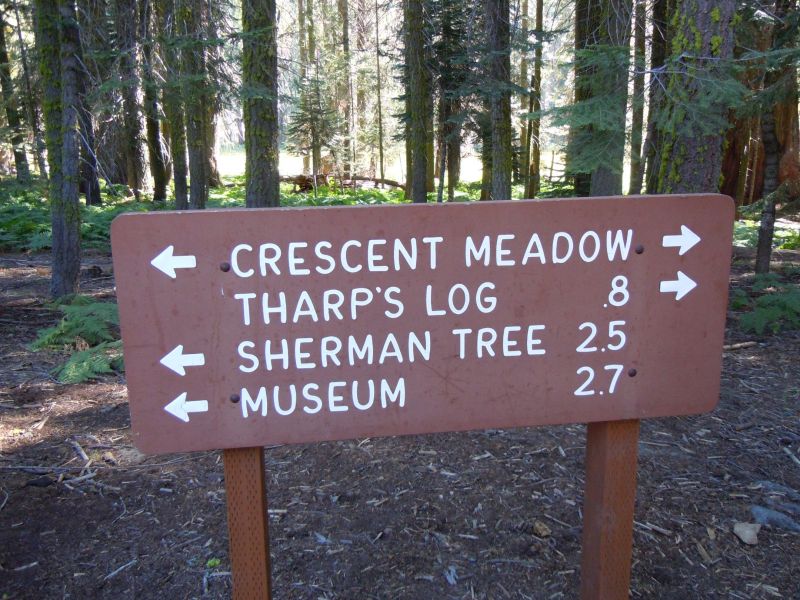 DSCN1228.JPG
