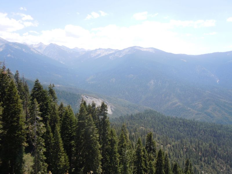 DSCN1235.JPG