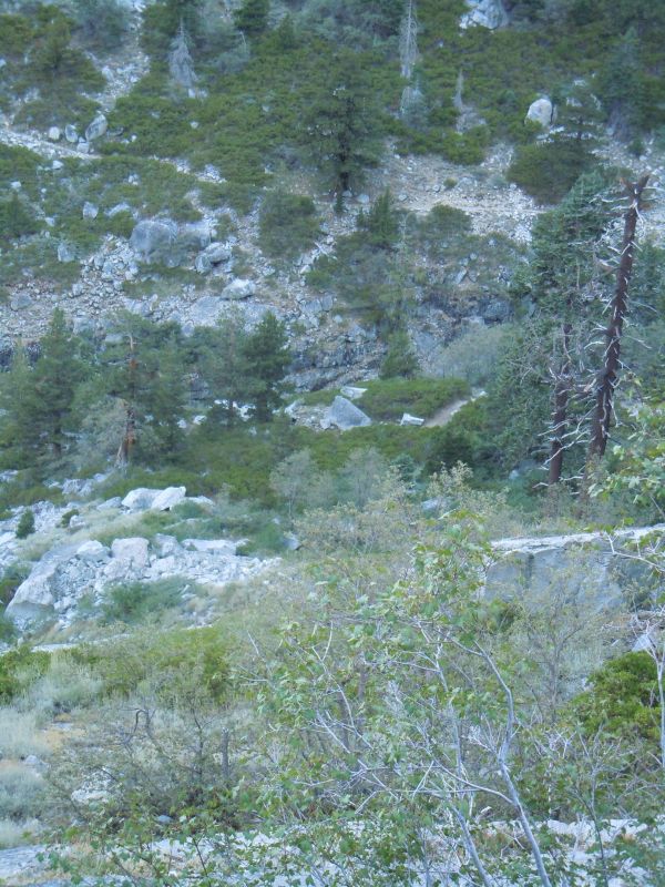 DSCN1255.JPG