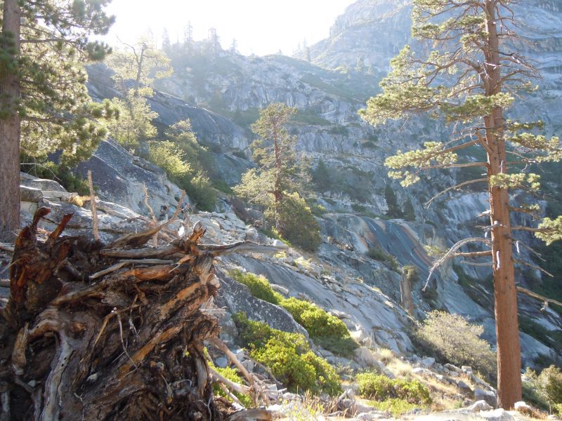 DSCN1259.JPG