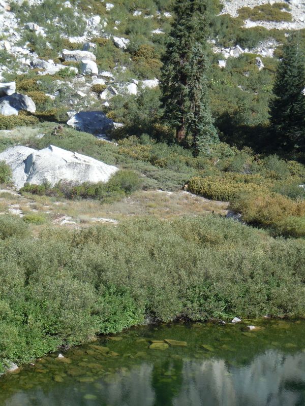 DSCN1264.JPG