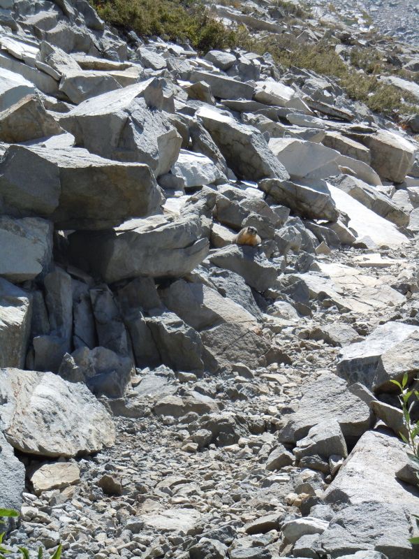 DSCN1277.JPG