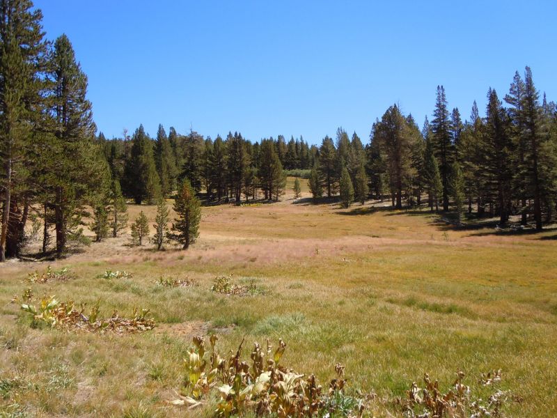 DSCN1302.JPG