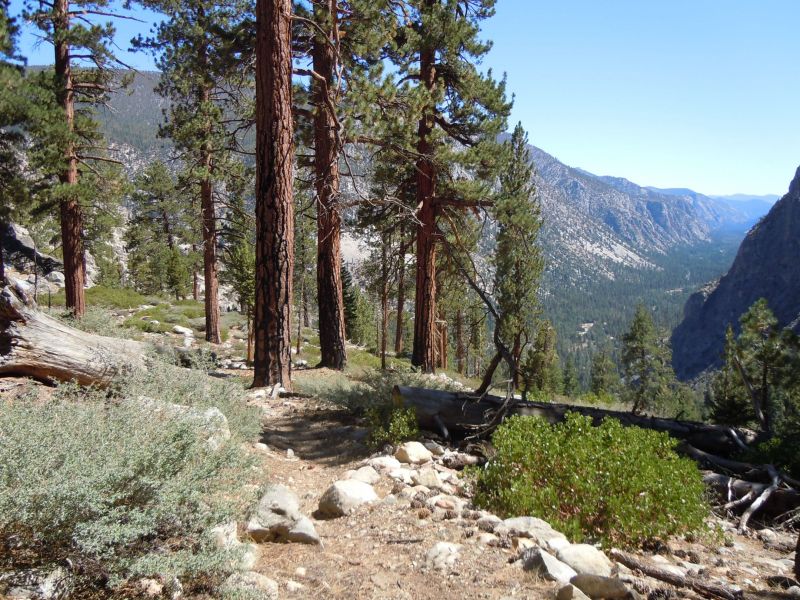 DSCN1305.JPG