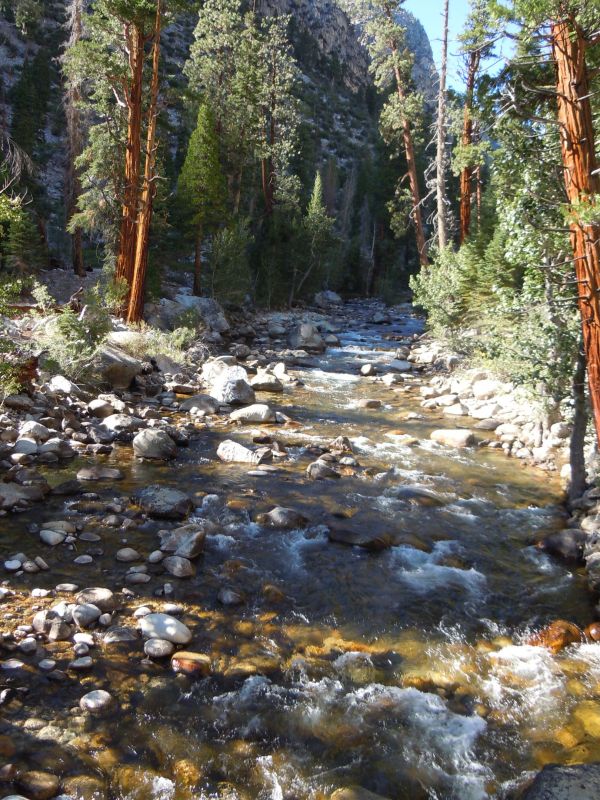 DSCN1314.JPG