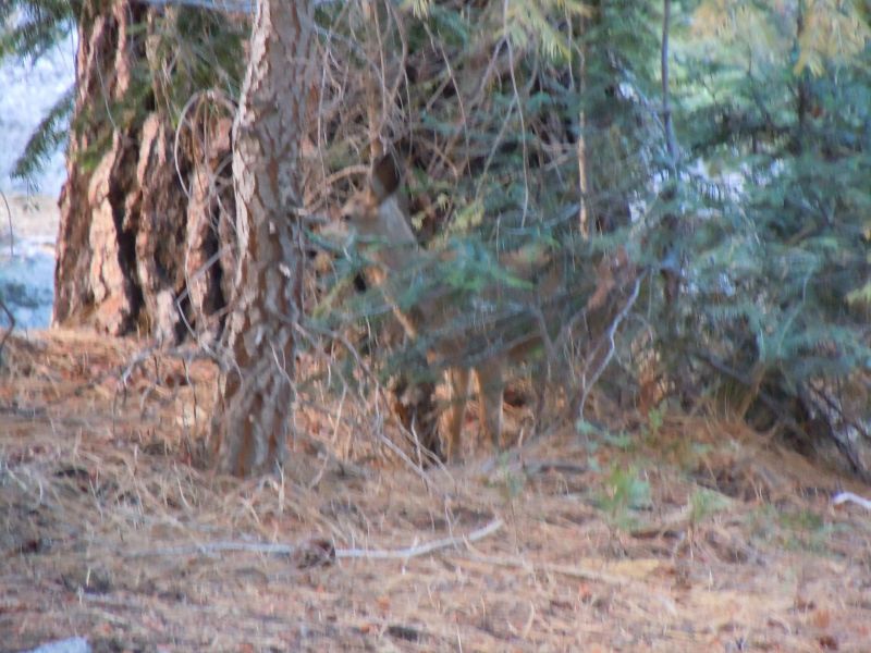 DSCN1317.JPG