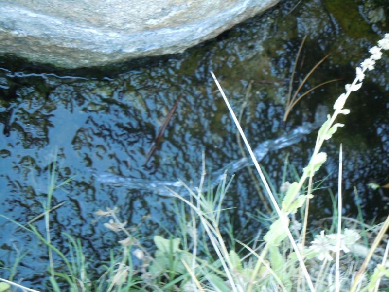 DSCN1318.JPG